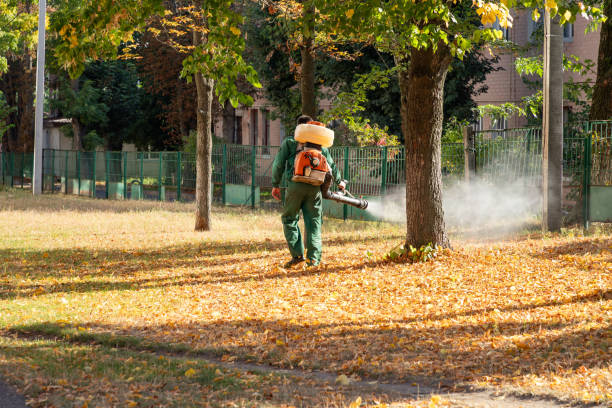 Spider Control Near Me in West Pittston, PA